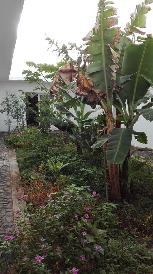 Villa Sao Jose Pedra Badejo  Екстер'єр фото